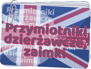 Przymiotniki dzierżawcze, zaimki - Possesive adjectives, pronouns - Gramatyka języka angielskiego dla klas 4-6