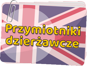 Przymiotniki dzierżawcze - Possesive adjectives - Przymiotniki dzierżawcze, zaimki