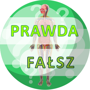 Rozstrzygnij, czy informacje są prawdziwe! - 6. Prawda czy fałsz? - Jaki to układ budowy organizmu człowieka?