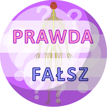 Rozstrzygnij, czy informacje są prawdziwe! - 4. Prawda czy fałsz? - Układ nerwowy